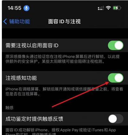 绥宁苹果14维修网点分享iPhone14注视感知功能有什么用 